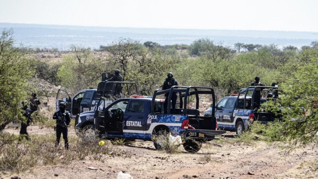 Clash in Zacatecas Results in Death of 7 Alleged Criminals