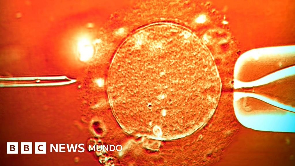 El semen de un donante portador de un gen cancerígeno fue empleado para concebir cerca de 200 niños: 'Varios han desarrollado tumores y algunos ya han fallecido'