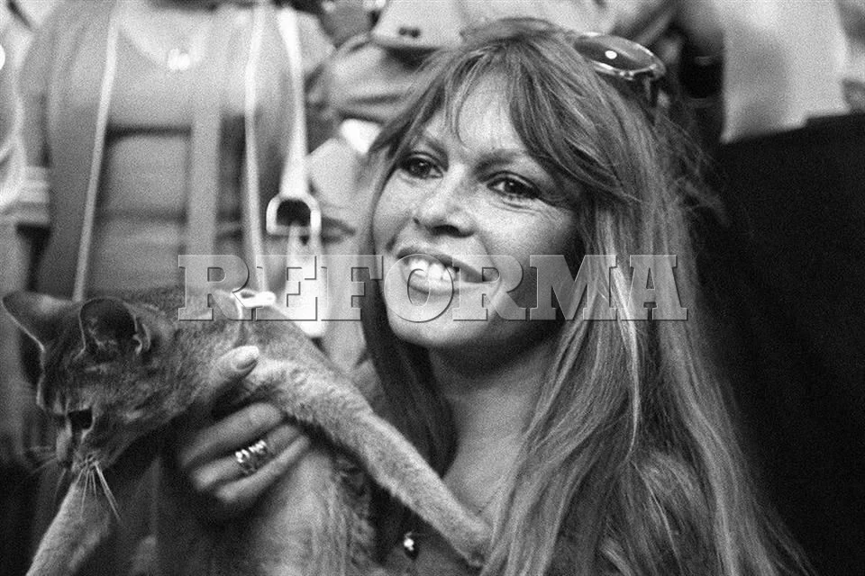 Fallece Brigitte Bardot, leyenda del cine francés, a los 91 años
