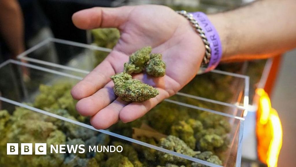 Trump emite una orden ejecutiva para reclassificar la marihuana como una sustancia de menor riesgo y facilitar su acceso.