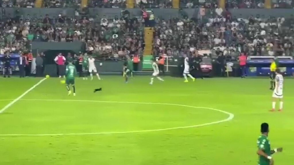 Un gato negro provoca la expulsión de James Rodríguez y la lesión de Sergio Ramos