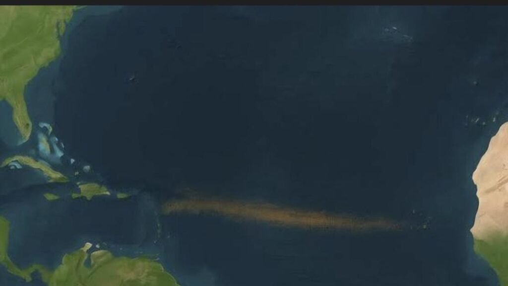 Alertan sobre un inusual aumento de sargazo en las playas de México