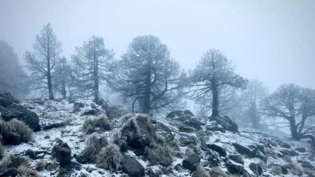 Cofre de Perote en Veracruz alcanza una temperatura de -9 grados centígrados