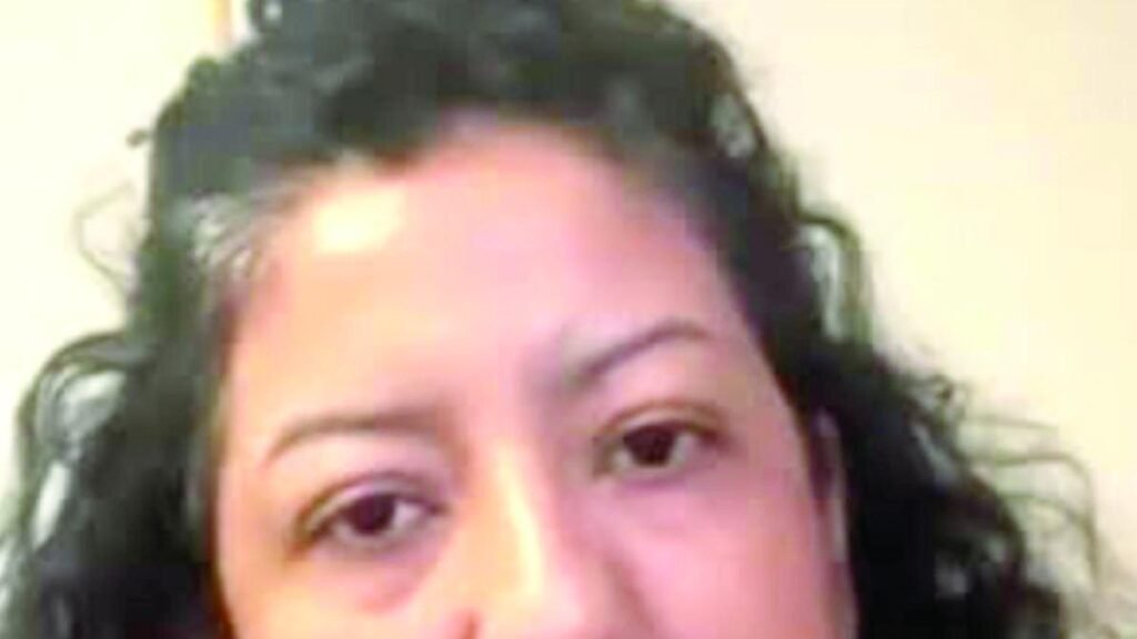 Vania Pérez Faces Allegations; Leads Citizen Committee of the National Anti-Corruption System