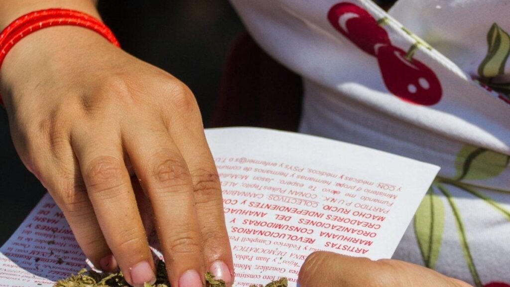 Debate sobre el límite de posesión de marihuana genera divisiones en el Pleno de la Corte