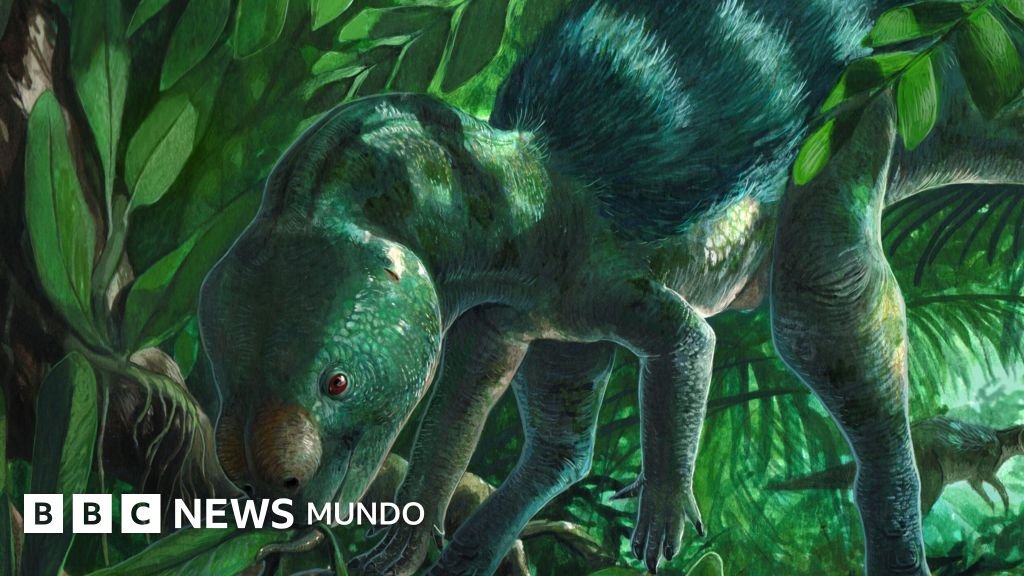 El dinosaurio del tamaño de un gallo que puede ofrecer información sobre la evolución de las especies más grandes.
