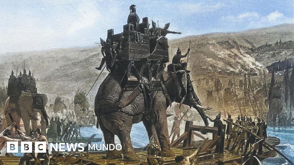 El hueso que sugiere la legendaria marcha de un elefante de guerra de Aníbal por Europa