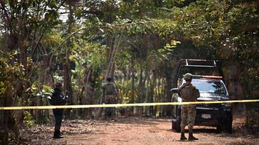 In Veracruz, Efforts Intensify to Locate More Hidden Graves in Jáltipan