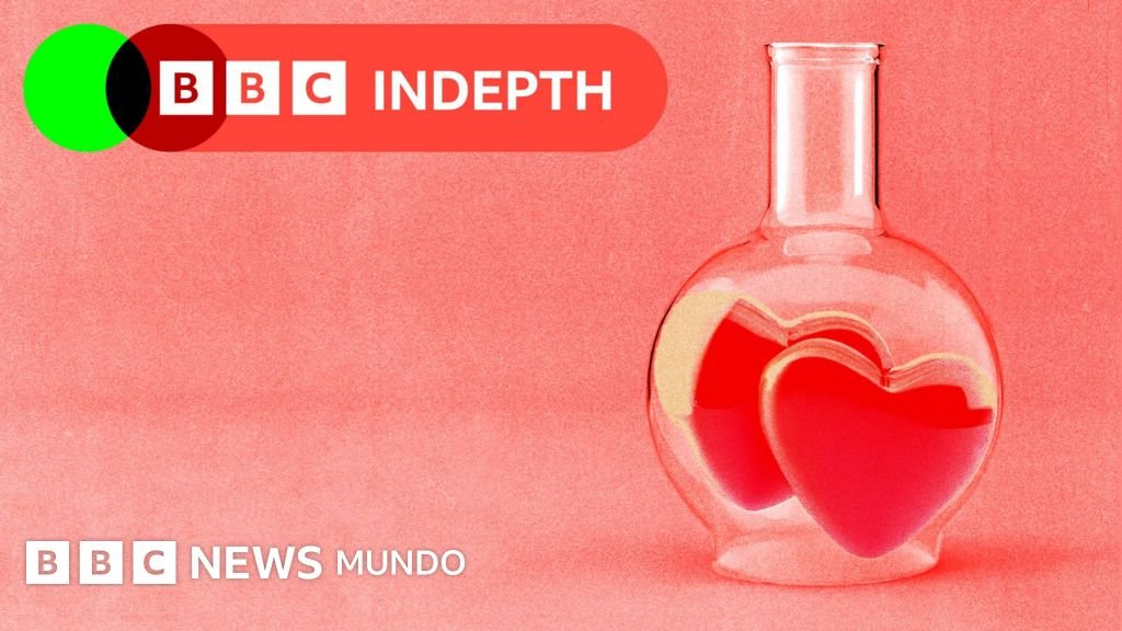 La ciencia detrás de las almas gemelas: ¿hay realmente una persona perfecta para ti?