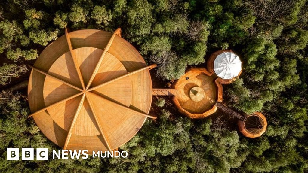 Las 10 casas en árboles más impresionantes del mundo (una de ellas está en México)