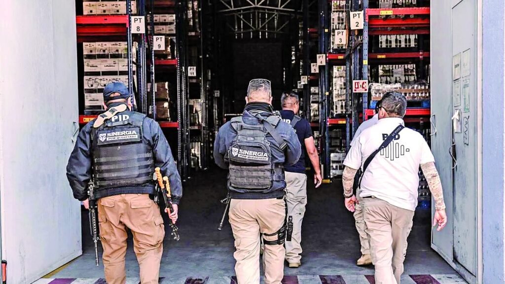 Rehabilitan viñedo en Querétaro tras despojo.