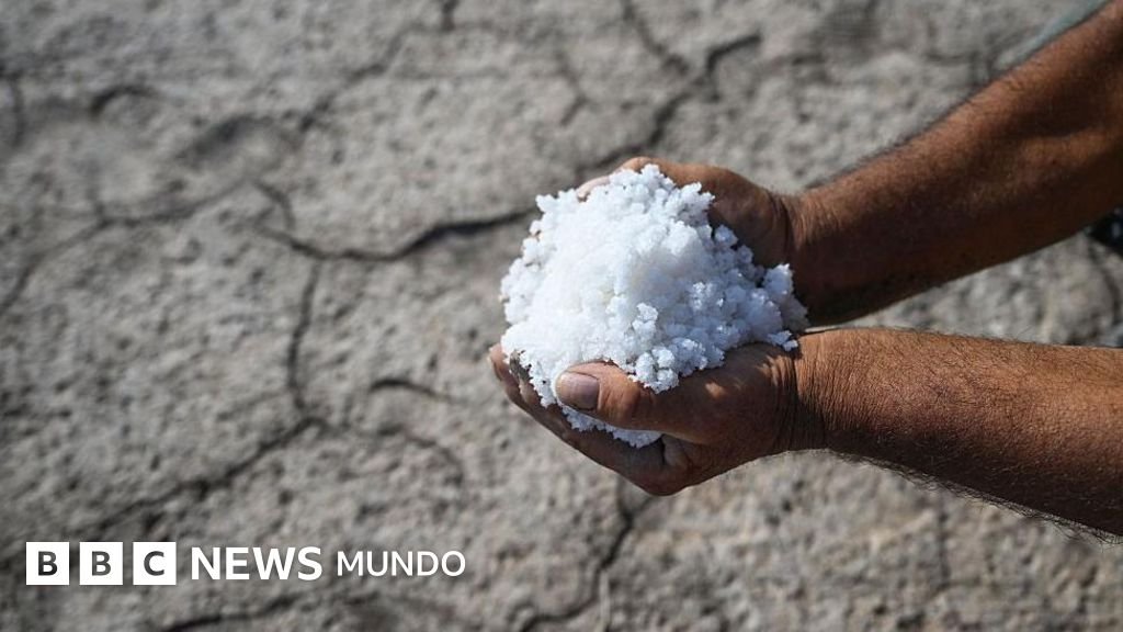 Intrusión salina: Definición y sus repercusiones en la salud y la economía.