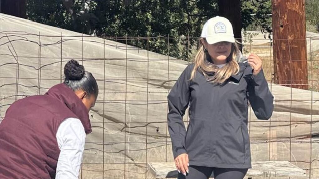 Procesan a la exdirectora del INVI en BCS por un supuesto desfalco