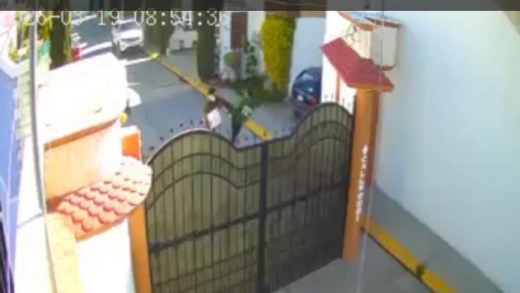 Sujeto agredió violentamente a un joven con autismo debido al ladrido de sus perros.