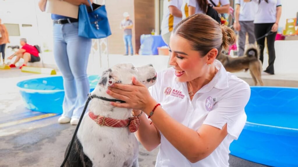 BC impulsa el cuidado de los animales.