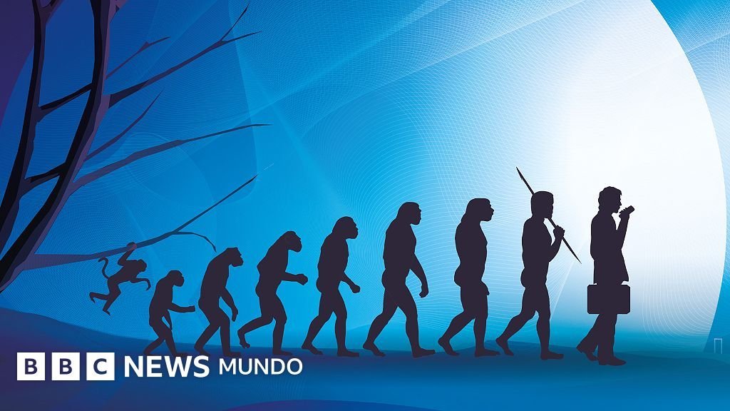 El cuerpo humano no es una creación perfecta, sino una combinación de decisiones evolutivas.