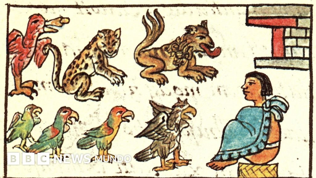 El zoológico de Moctezuma que sorprendió a los españoles hace 500 años y que ahora comenzamos a descubrir.
