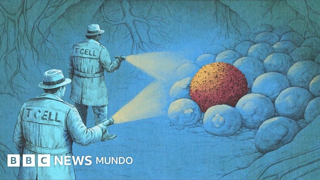 Increíble como en la ciencia ficción: los innovadores tratamientos de inmunoterapia que están erradicando el cáncer