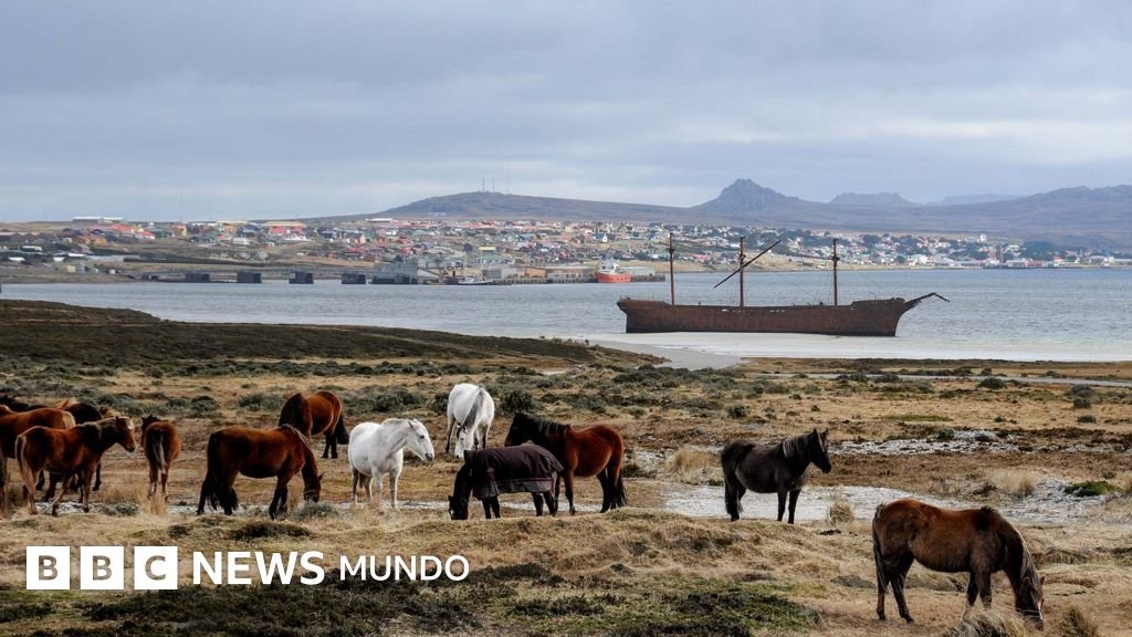Por qué las Malvinas/Falklands proporcionan a Trump una oportunidad para ejercer presión sobre el Reino Unido.