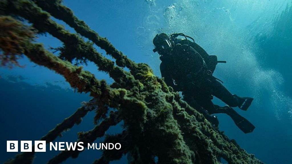 Cómo los barcos encallados en el estrecho de Ormuz pueden provocar una "superpropagación" de especies marinas invasoras.