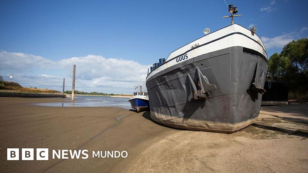 La histórica sequía que impacta al Rin y al Danubio, los ríos más importantes de Europa, y que podría desencadenar una crisis económica y energética.
