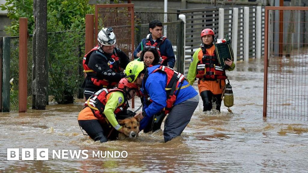 Los serios impactos que los científicos anticipan en América Latina debido al fenómeno del "Súper El Niño".