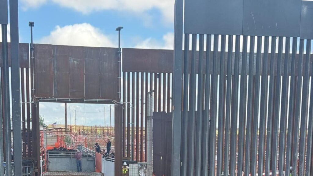 Chihuahua vuelve a impulsar la exportación de ganado